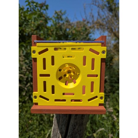 Piège à frelons asiatiques en bois – Fabrication artisanale 🐝🛠️