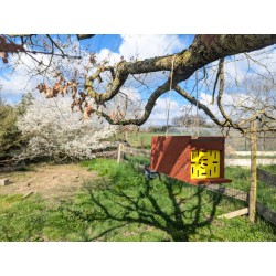 Piège à frelons asiatiques en bois – Fabrication artisanale 🐝🛠️