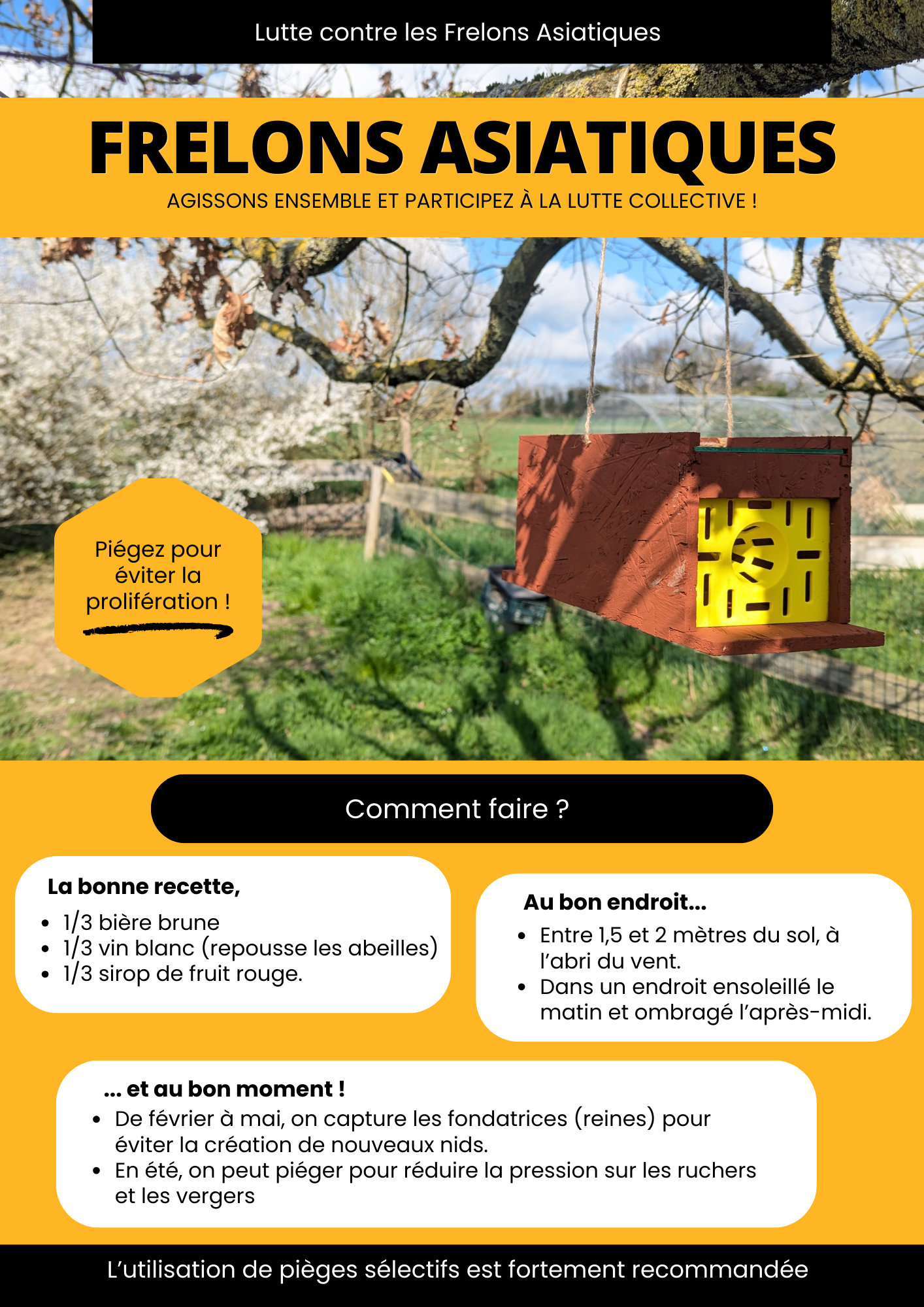 affiche_lutte_frelon.png